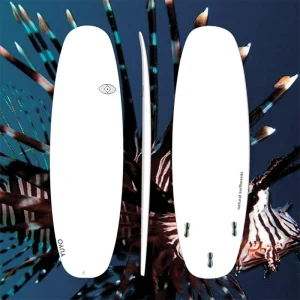 RASCASSE - Strapless kitesurf